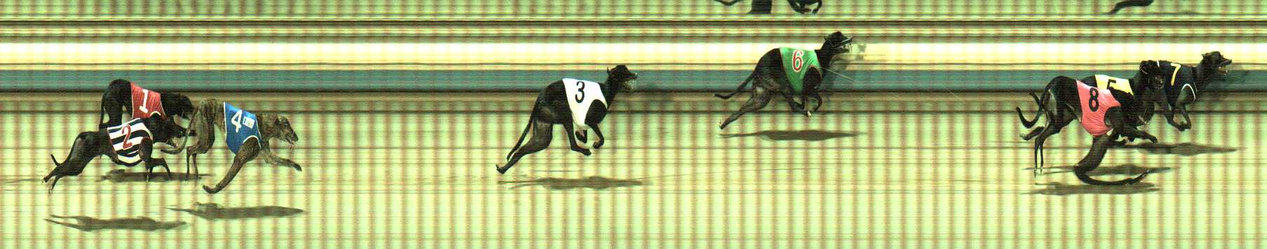 Photo finish for Sale Race 12