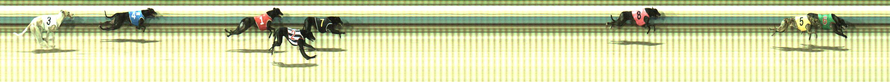 Photo finish for Sale Race 1