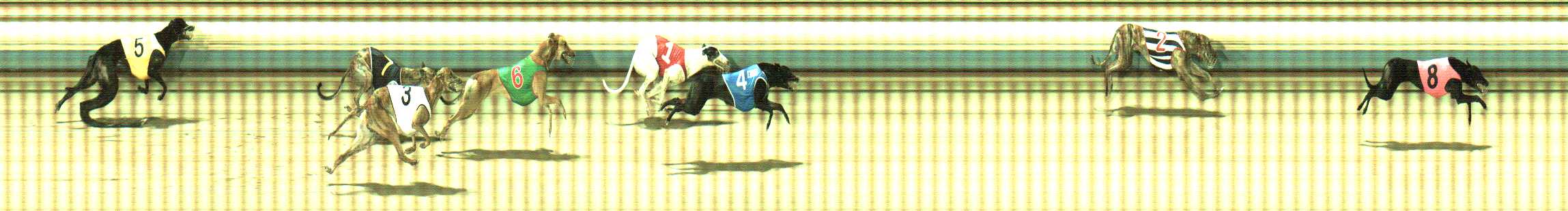 Photo finish for Sale Race 10