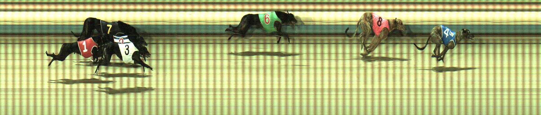 Photo finish for Sale Race 11