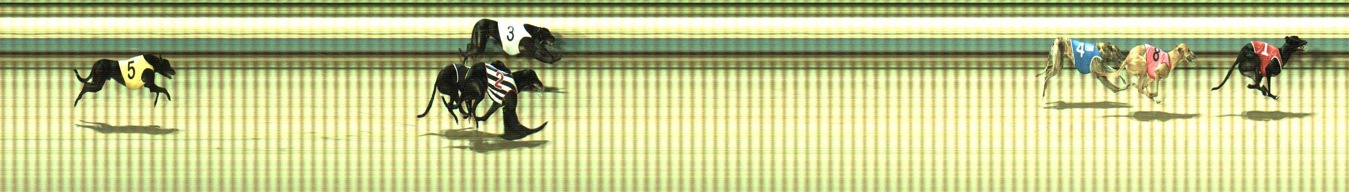 Photo finish for Sale Race 2