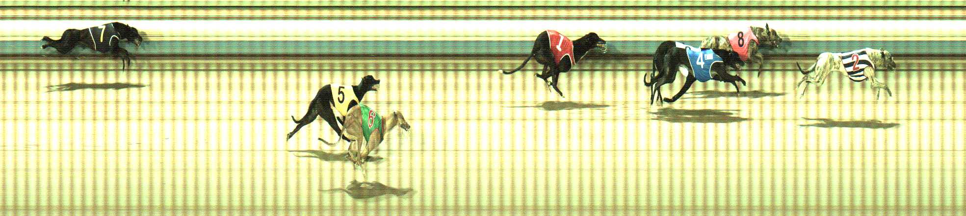 Photo finish for Sale Race 4