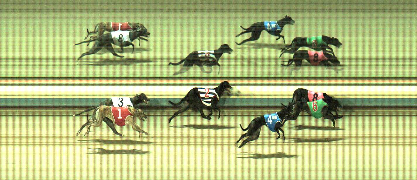 Photo finish for Sale Race 5