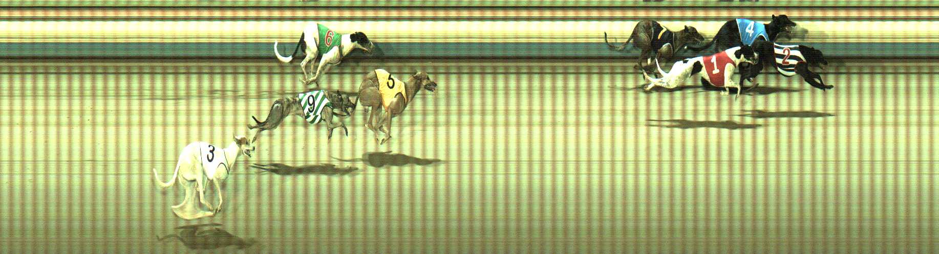 Photo finish for Sale Race 6