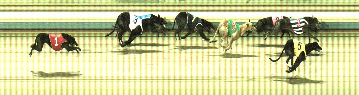 Photo finish for Sale Race 7