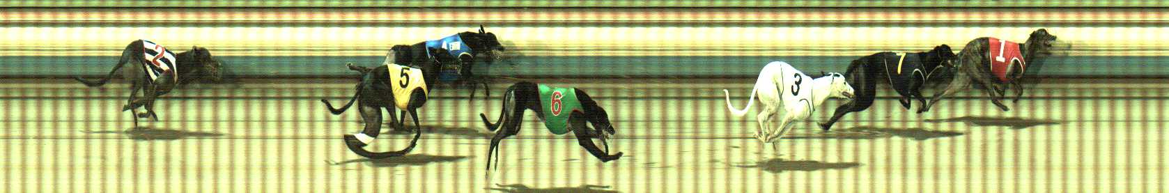 Photo finish for Sale Race 8