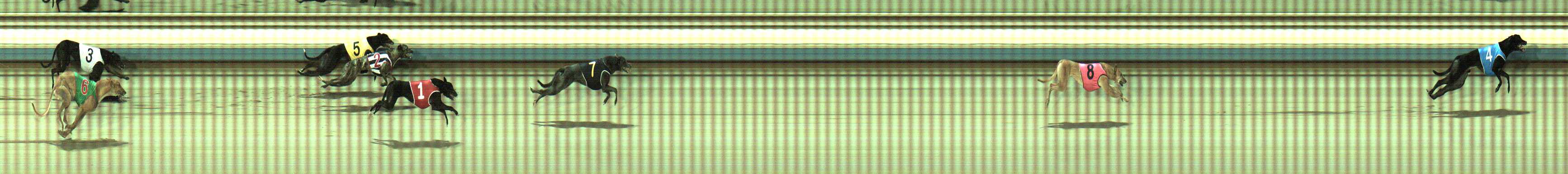 Photo finish for Sale Race 1