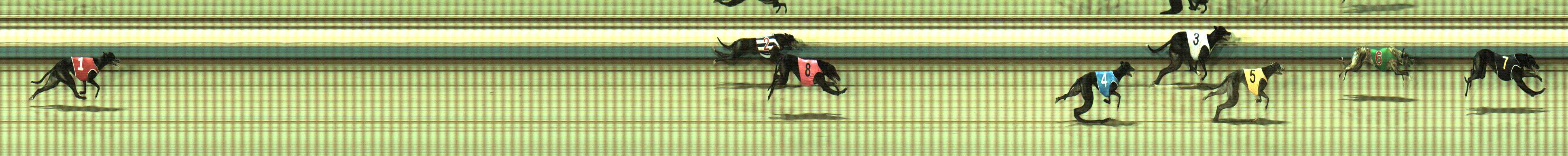 Photo finish for Sale Race 10