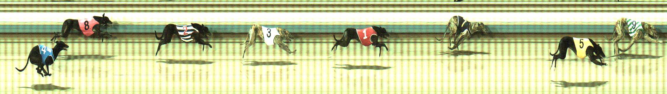 Photo finish for Sale Race 2