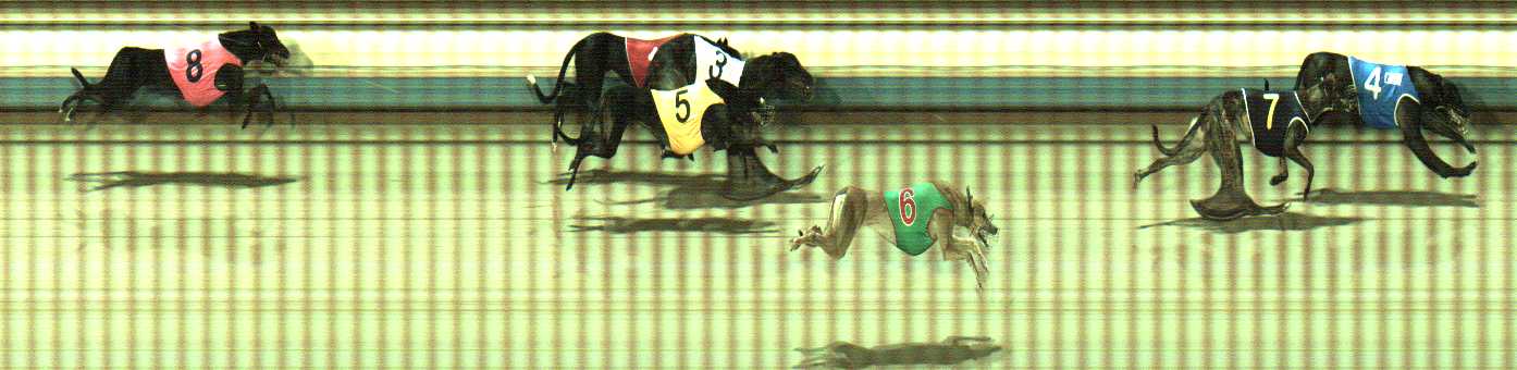 Photo finish for Sale Race 3