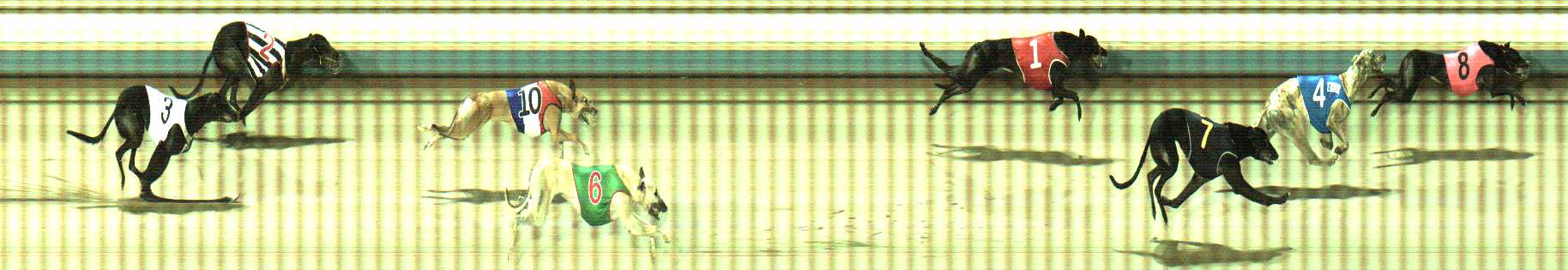Photo finish for Sale Race 4