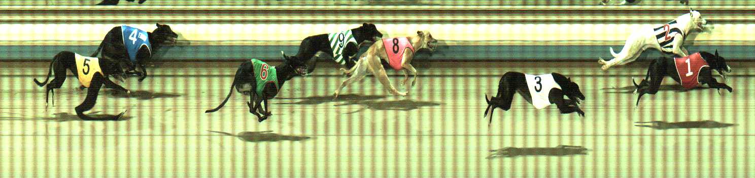 Photo finish for Sale Race 5