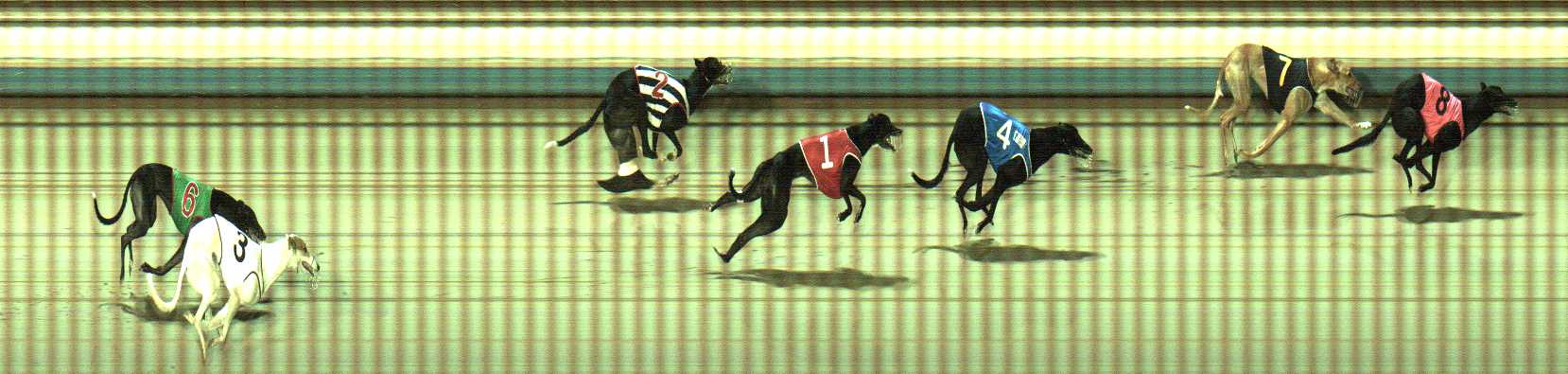 Photo finish for Sale Race 6