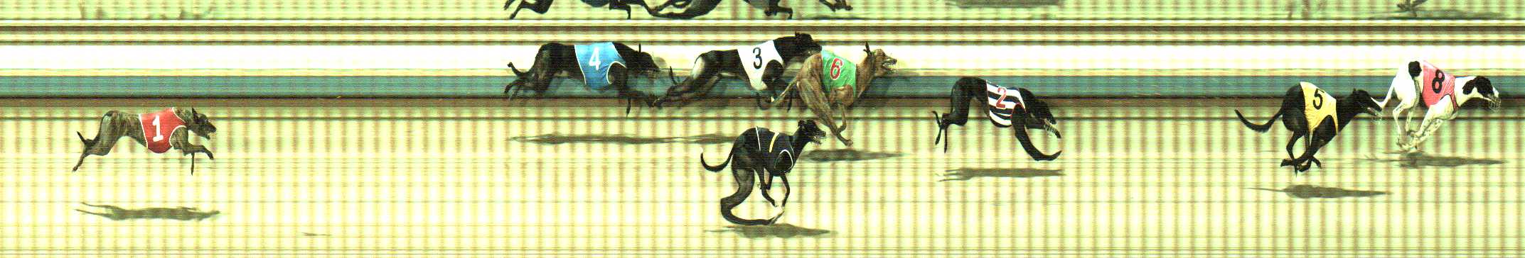 Photo finish for Sale Race 8