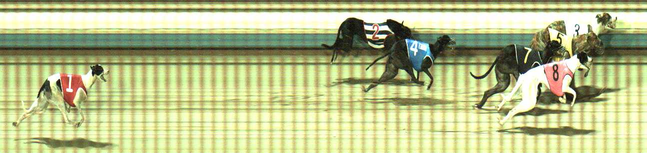 Photo finish for Sale Race 9