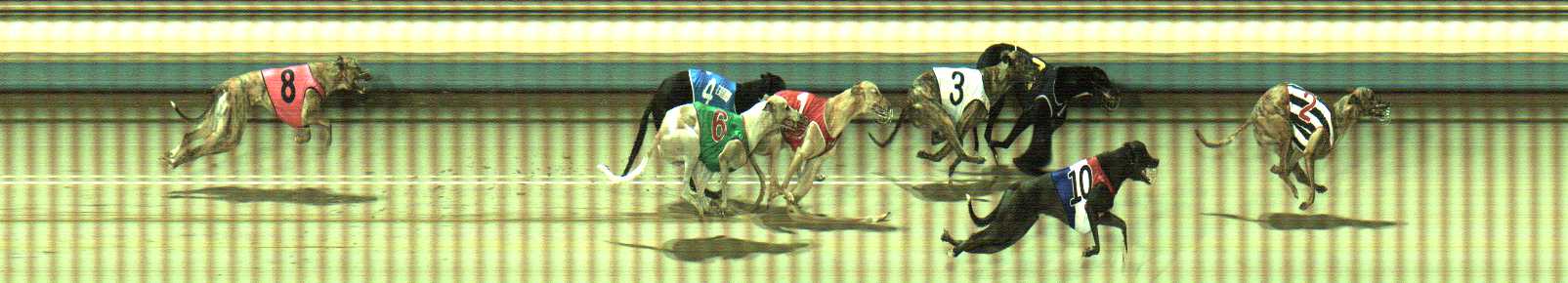 Photo finish for Sale Race 1