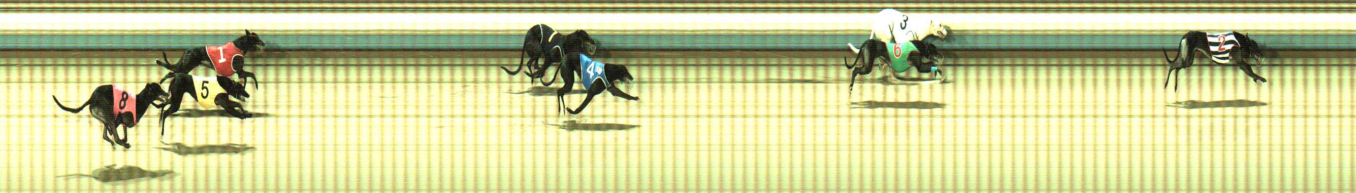 Photo finish for Sale Race 10
