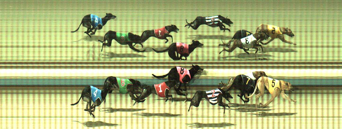 Photo finish for Sale Race 11