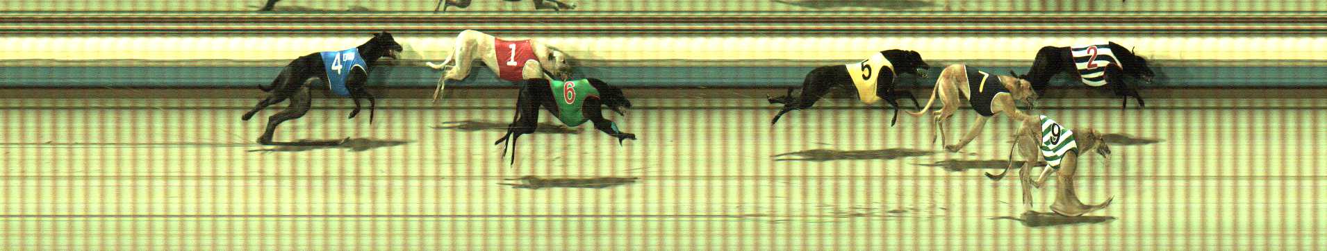 Photo finish for Sale Race 12