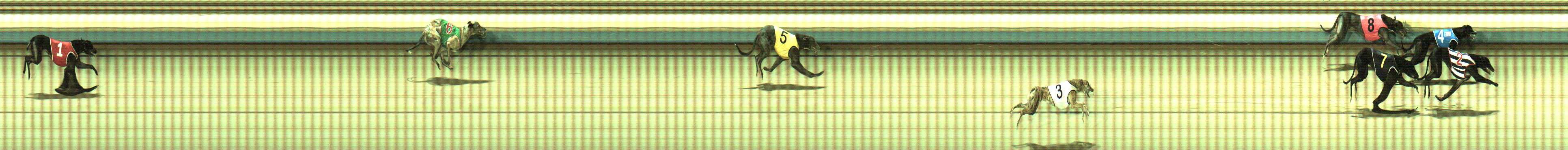 Photo finish for Sale Race 2