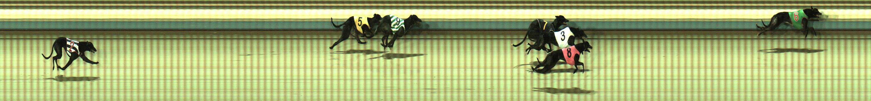 Photo finish for Sale Race 3