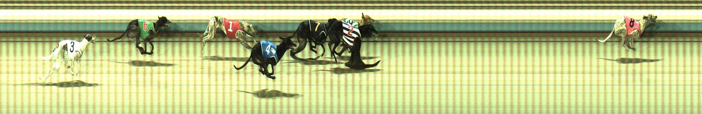 Photo finish for Sale Race 4