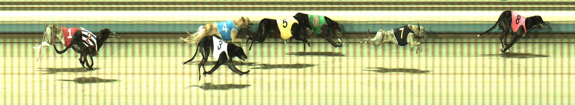 Photo finish for Sale Race 5