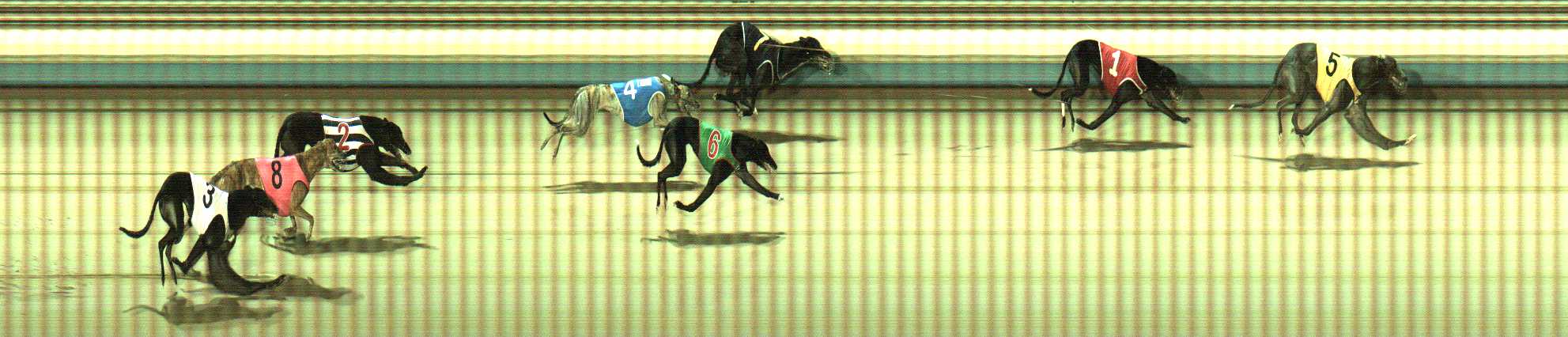 Photo finish for Sale Race 6