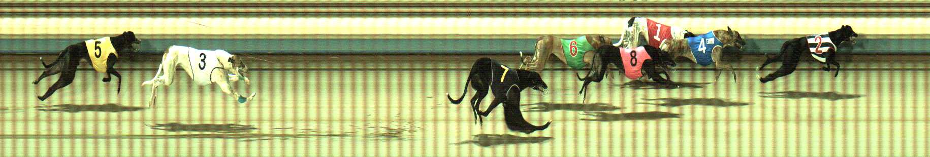 Photo finish for Sale Race 7