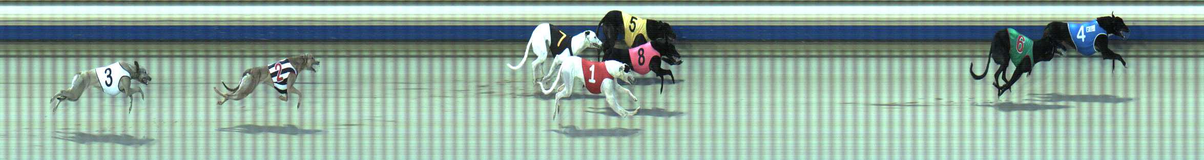 Photo finish for Sale Race 1