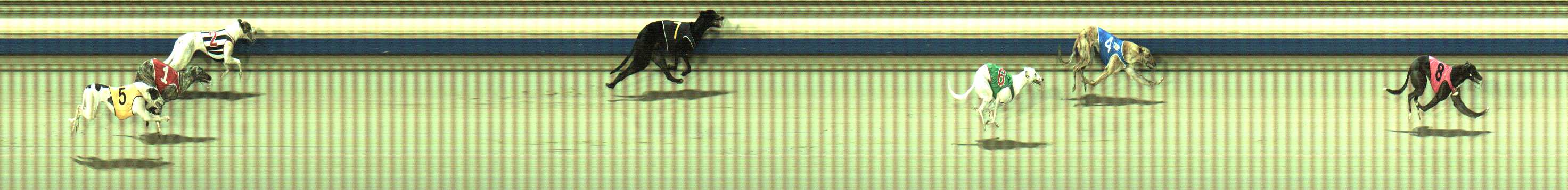 Photo finish for Sale Race 2