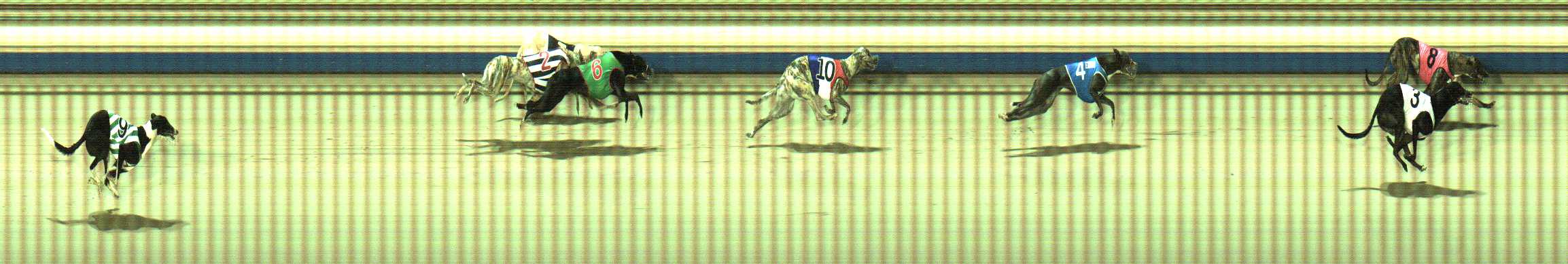 Photo finish for Sale Race 3