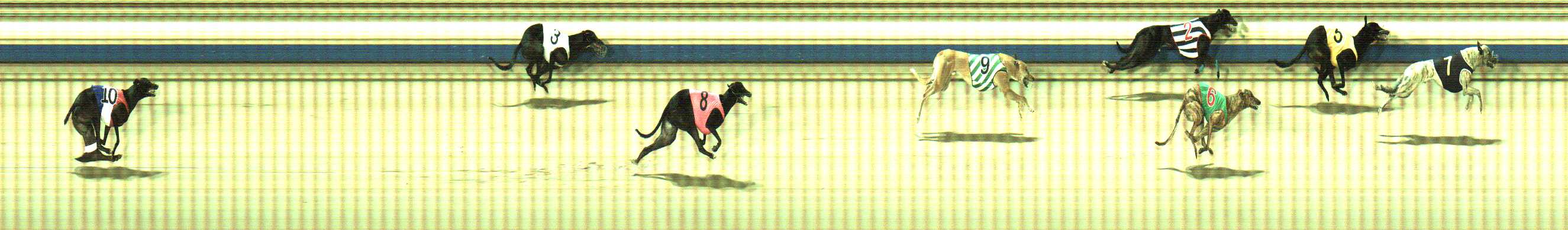 Photo finish for Sale Race 4