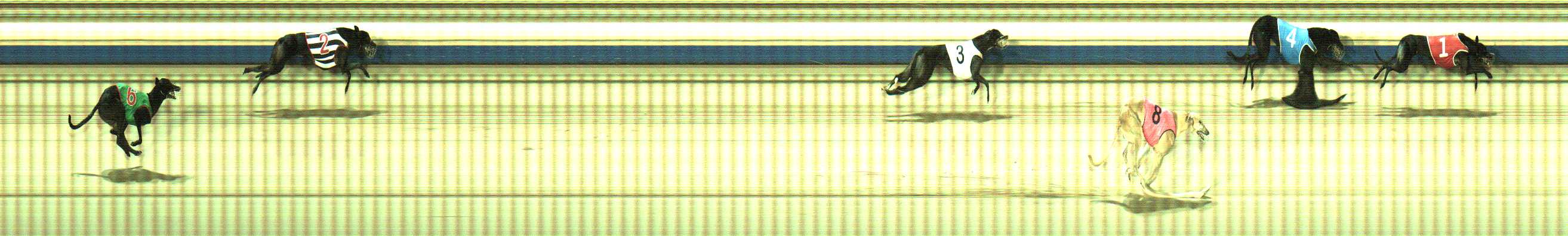 Photo finish for Sale Race 5