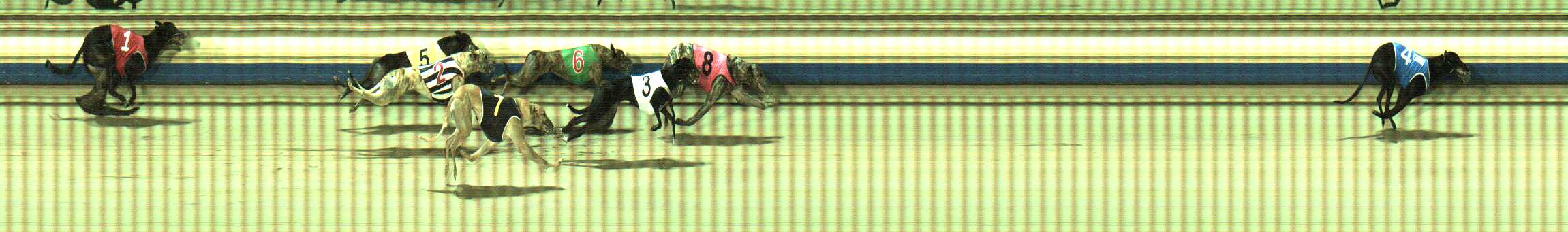 Photo finish for Sale Race 6