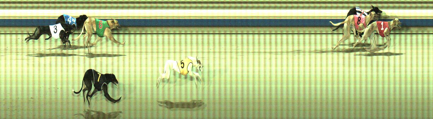 Photo finish for Sale Race 7