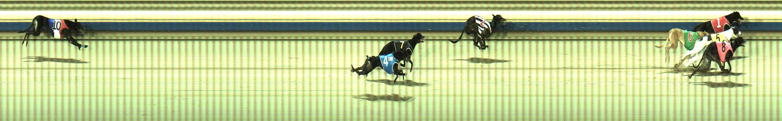 Photo finish for Sale Race 9