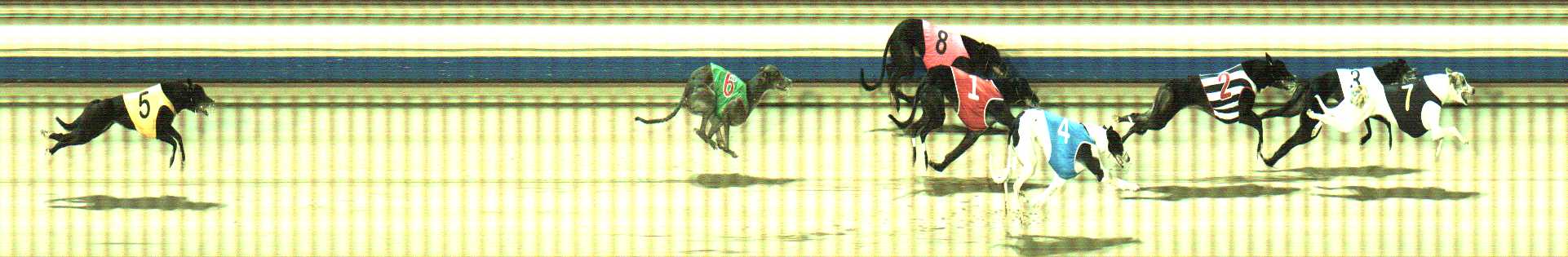 Photo finish for Sale Race 10