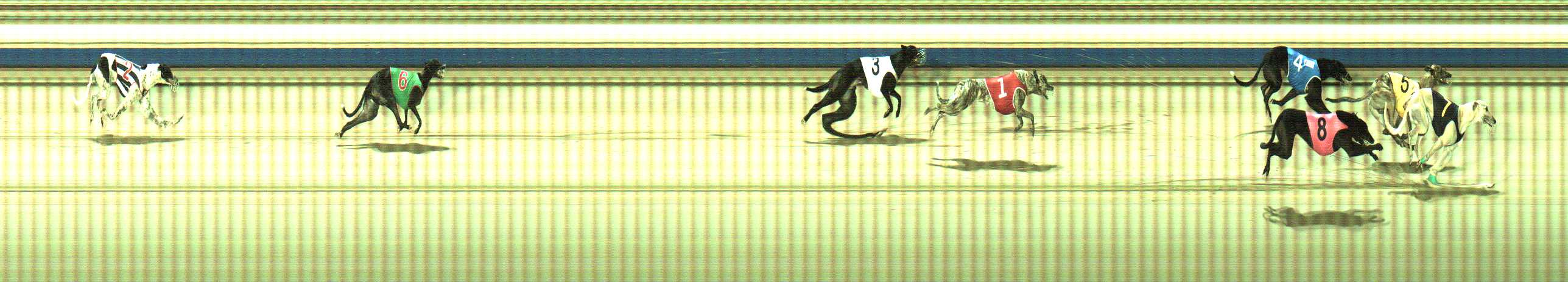 Photo finish for Sale Race 11