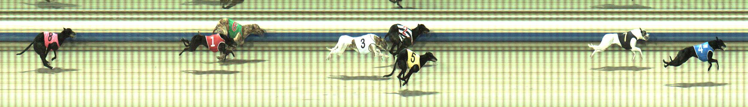 Photo finish for Sale Race 2