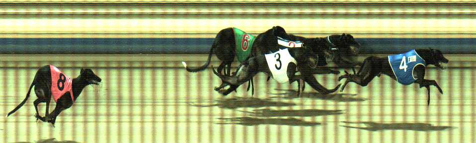 Photo finish for Sale Race 3