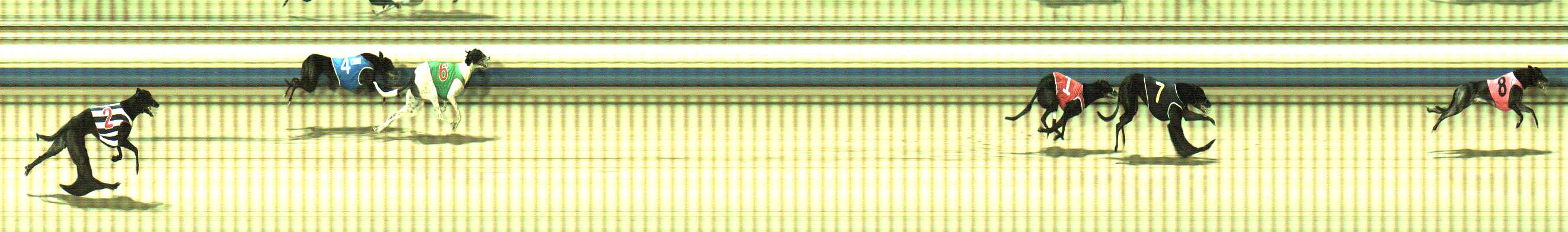 Photo finish for Sale Race 4
