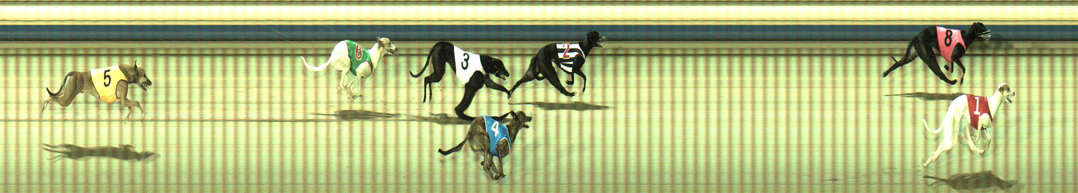 Photo finish for Sale Race 5