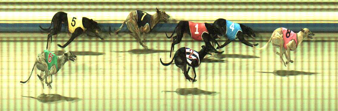 Photo finish for Sale Race 6