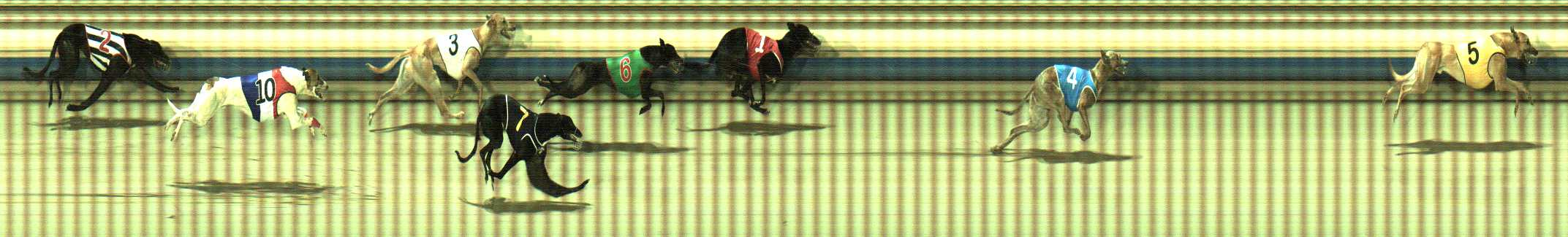 Photo finish for Sale Race 7