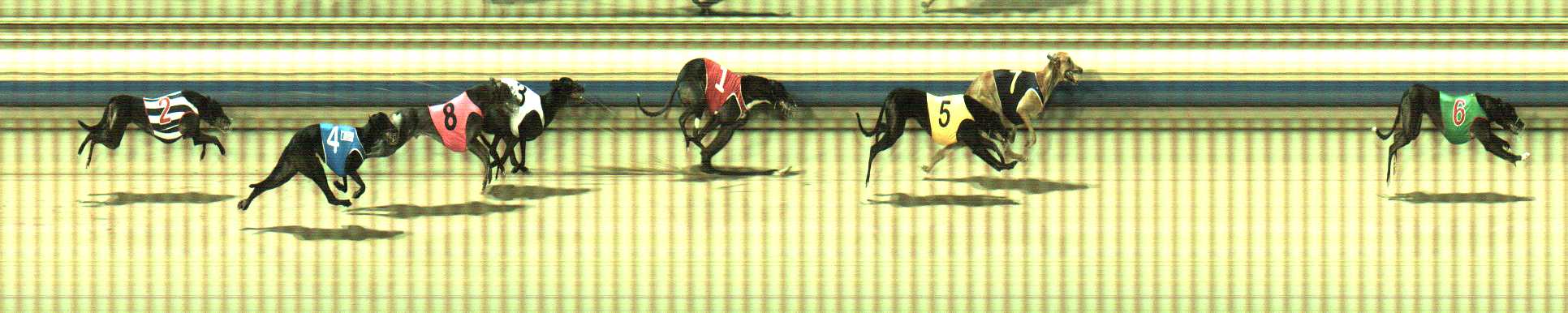 Photo finish for Sale Race 8