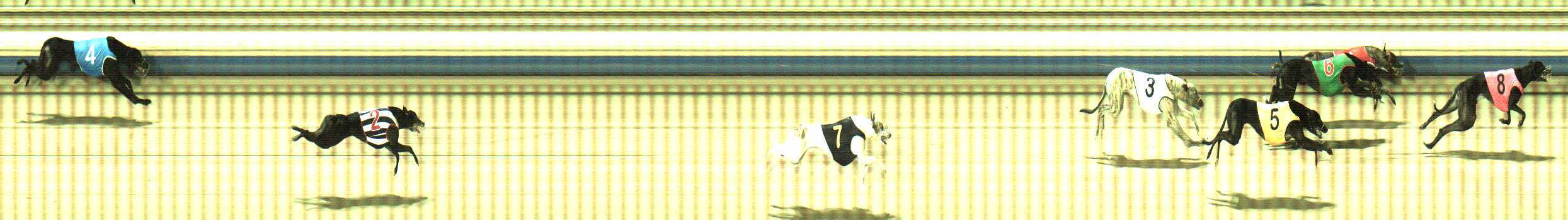 Photo finish for Sale Race 9