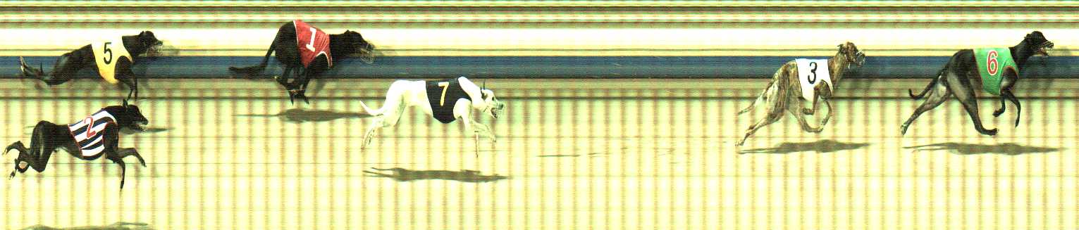 Photo finish for Sale Race 10