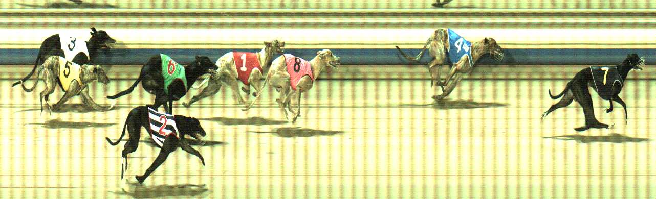Photo finish for Sale Race 11