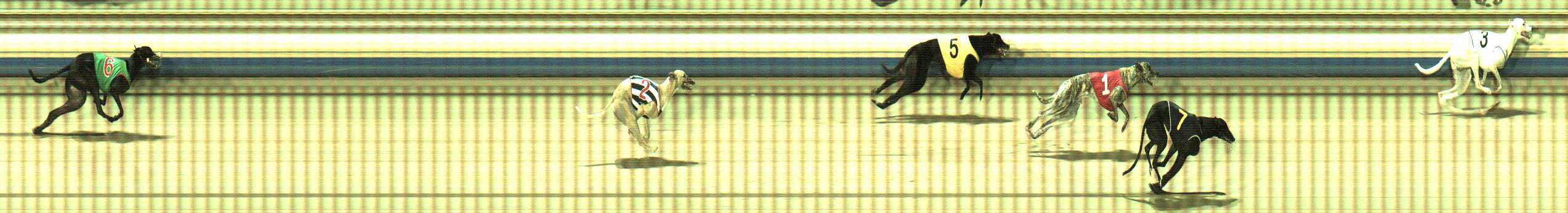 Photo finish for Sale Race 12